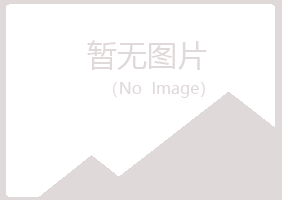 曲阜夏岚机械有限公司